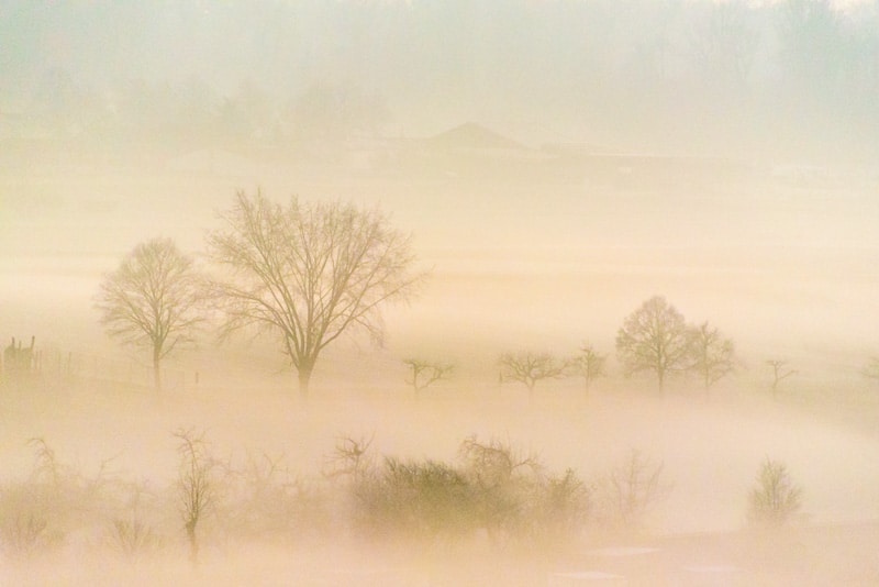 Nebel Landschaft