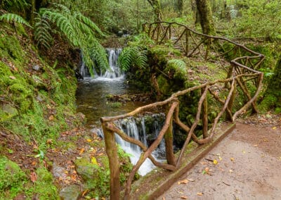 Waldpark Queimadas