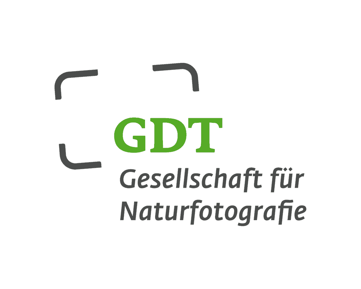 GDT-Logo